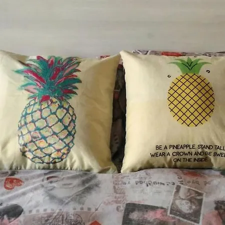 Pineapple House Apartment